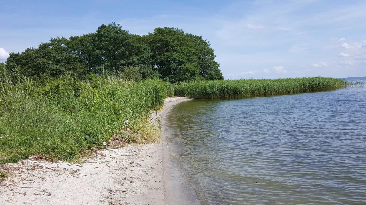 Appartement "Froschkoenig" - Oase Am Haff Garz  Eksteriør bilde